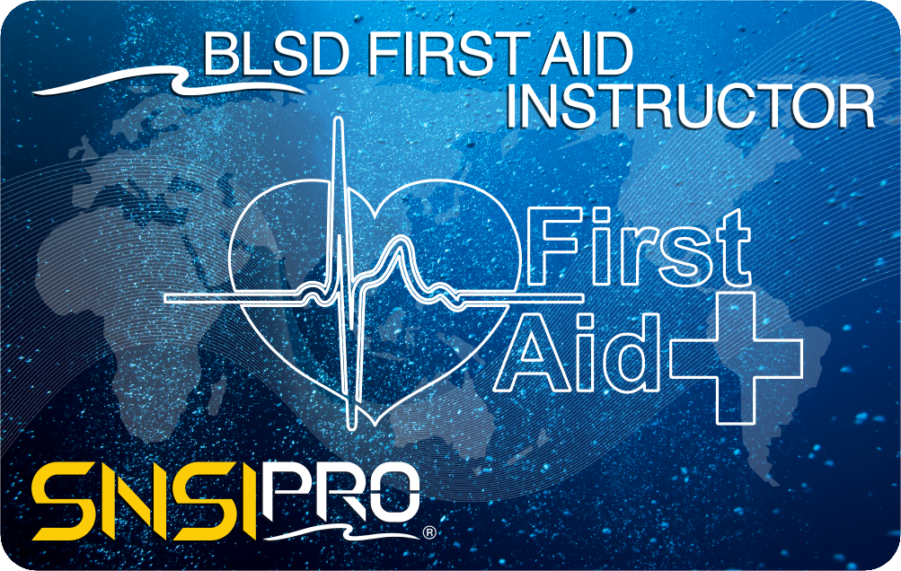 BLSD First Aid Instructor Card