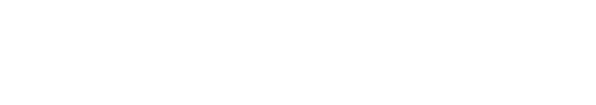 SNSI - Education